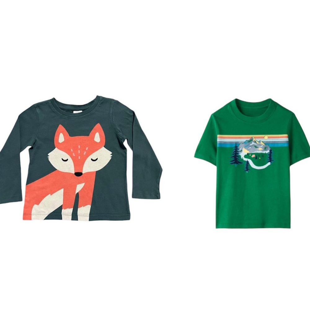 🏕️ 2 Hanna Andersson Unisex Shirts Size 4T 🦊